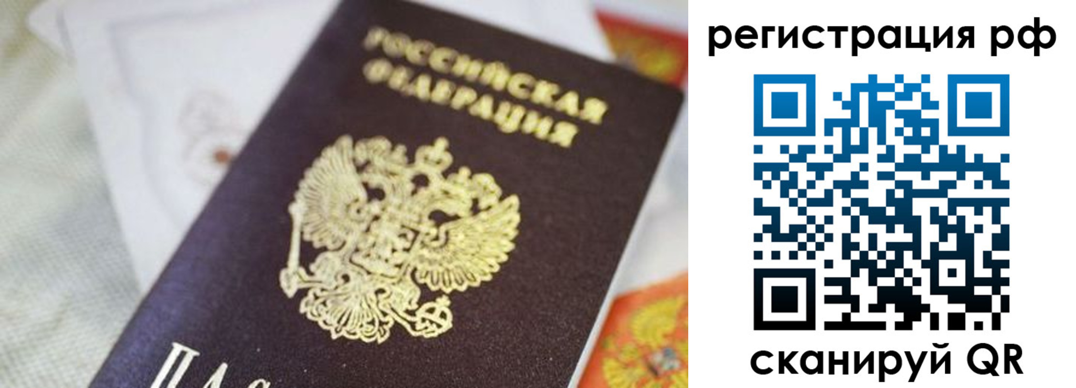 прописка гарантия в Ржеве